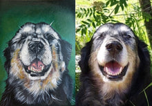 Load image into Gallery viewer, Pet Portrait