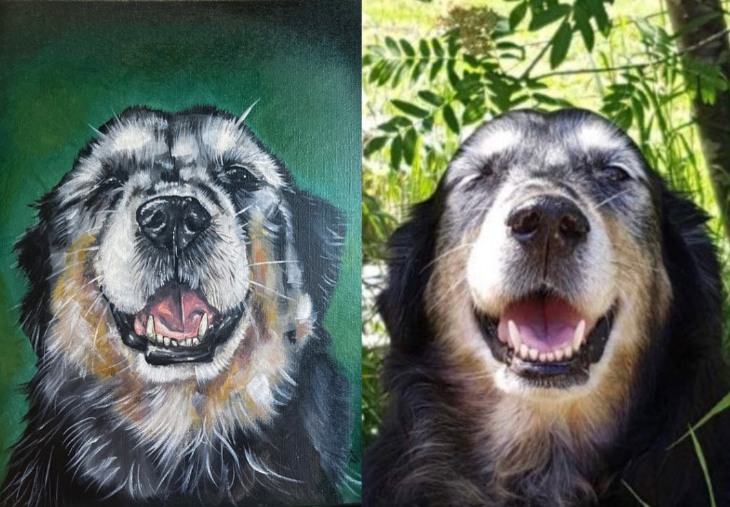 Pet Portrait