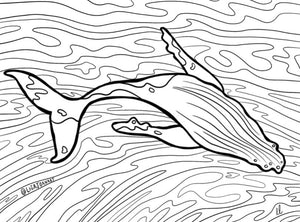 Humpback Colouring Sheet