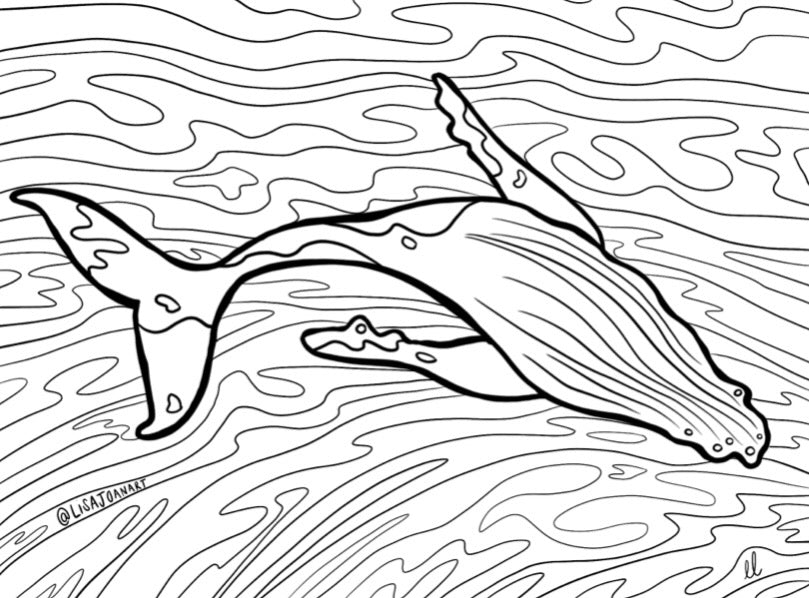 Humpback Colouring Sheet