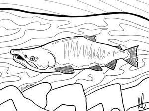 Salmon Colouring Sheet