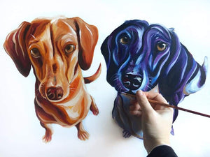 Pet Portrait
