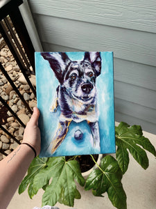 Pet Portrait