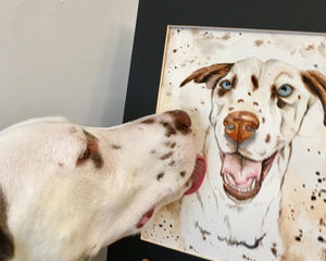 Pet Portrait