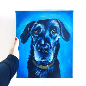 Pet Portrait