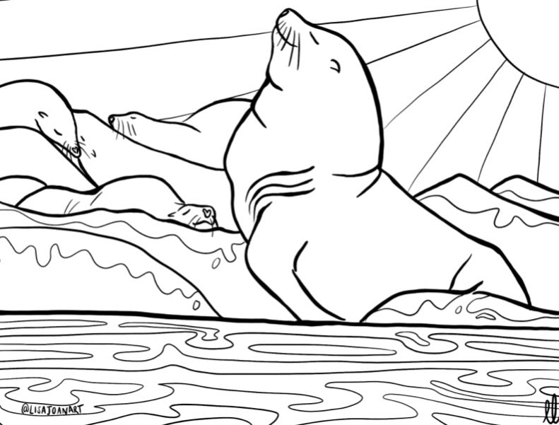 Sealion Colouring Sheet