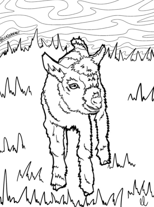 Goat Colouring Sheet